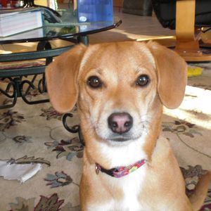 Meet your Posher, Cheryl